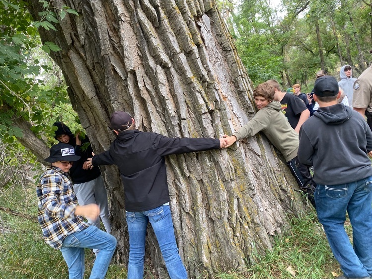 Hugging the Heritage Tree